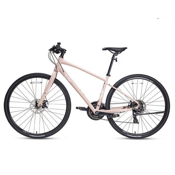 Xe Đạp Đường Phố Touring LIV Alight 2 – Bánh 700C – 2023 3 Xe Đạp Đường Phố Touring LIV Alight 2 – Bánh 700C – 2023 - Ảnh 3