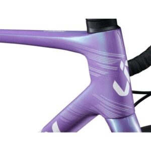 2024 langmaadpro0d digital blurple 4 600x600 1