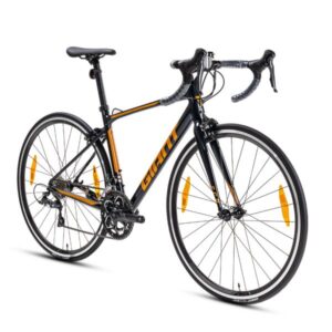 2024 scr2 coldnight 1 600x600 1