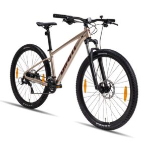 2024 talon293 sandshell 1 600x600 1