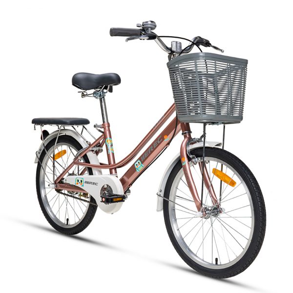 Xe Đạp Trẻ Em Youth MEREC Moka 20 – Bánh 20 Inches 4 Moka20 Pink 1 600x600