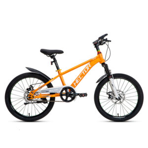 Xe Đạp Trẻ Em Youth HECTOR Ares 2 – Phanh Đĩa, Bánh 20 Inches