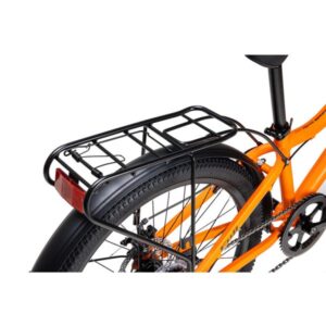 fuji orange 10 600x600 1