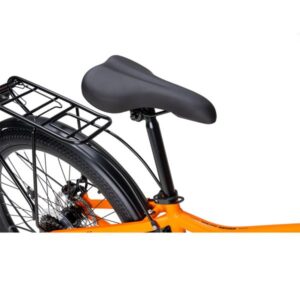 fuji orange 11 600x600 1