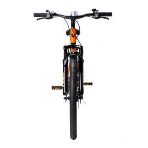 fuji orange 3 600x600 1