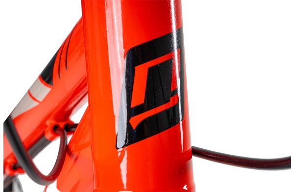 Xe Đạp Địa Hình MTB HECTOR Titan – Phanh Đĩa, Bánh 24 Inches 24 Xe Đạp Địa Hình MTB HECTOR Titan – Phanh Đĩa, Bánh 24 Inches - Ảnh 24