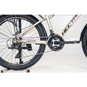 lazer1b beigegold 13 600x600 1