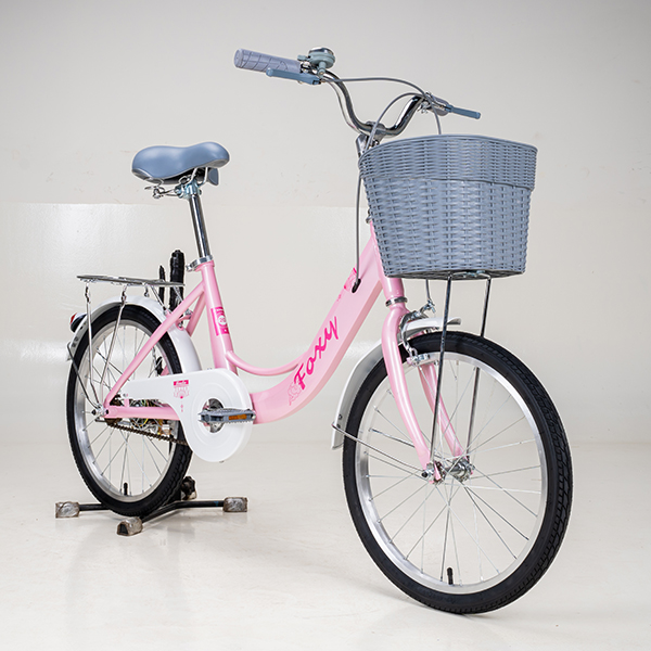 Xe Đạp Trẻ Em Youth FOXY Linda 1 – Bánh 20 Inch 6 Xe Đạp Trẻ Em Youth FOXY Linda 1 – Bánh 20 Inch - Ảnh 6