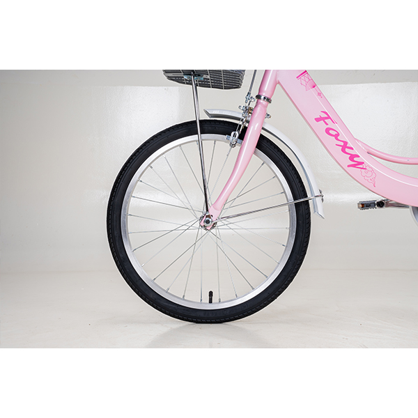 Xe Đạp Trẻ Em Youth FOXY Linda 1 – Bánh 20 Inch 9 Xe Đạp Trẻ Em Youth FOXY Linda 1 – Bánh 20 Inch - Ảnh 9