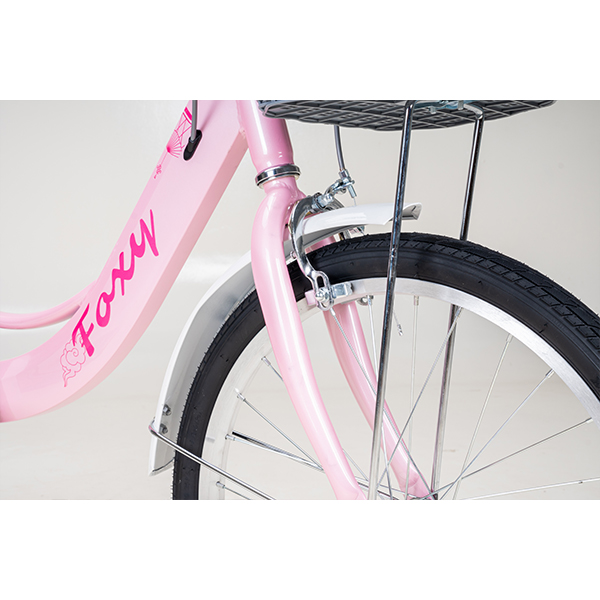 Xe Đạp Trẻ Em Youth FOXY Linda 1 – Bánh 20 Inch 11 Xe Đạp Trẻ Em Youth FOXY Linda 1 – Bánh 20 Inch - Ảnh 11