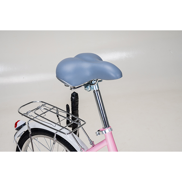 Xe Đạp Trẻ Em Youth FOXY Linda 1 – Bánh 20 Inch 12 Xe Đạp Trẻ Em Youth FOXY Linda 1 – Bánh 20 Inch - Ảnh 12