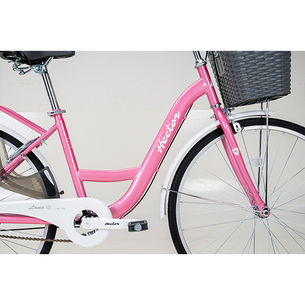 Xe Đạp Đường Phố Touring HECTOR Lona 4 – Bánh 26 Inch – MY26 6 Xe Đạp Đường Phố Touring HECTOR Lona 4 – Bánh 26 Inch – MY26 - Ảnh 6