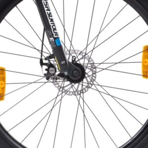 rincon 2 29 2 600x600 1