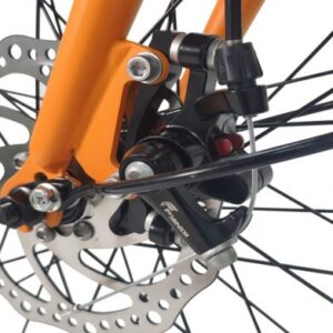 rock 24 green 5 600x391 1