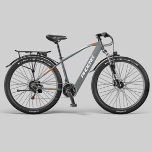 Xe điện trợ lực Phoenix 599, tốc độ 20-35km