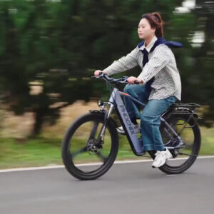 Xe điện trợ lực Phoenix 999, Pin 15AH, vành mâm đúc, phuộc giảm sóc, tốc độ 20-35km